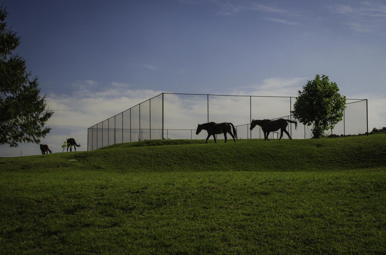 Gooderson Kloppenheim Country Estate Otel Machadodorp Dış mekan fotoğraf